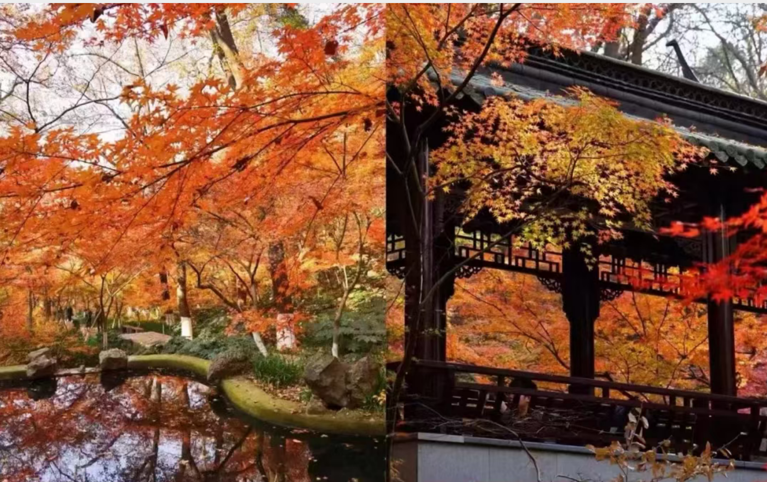 6753042c073ac089e41c59da721f01f3 6753042c073ac089e41c59da721f01f3