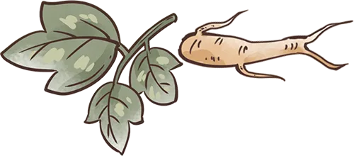 675c03267e8f63d9a45e80984182cde2_sz-118641