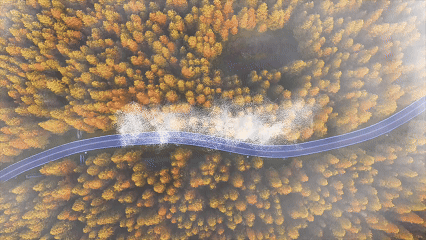 6765b46f1d6a503830785e0f64cbc6a0-sz_10497978