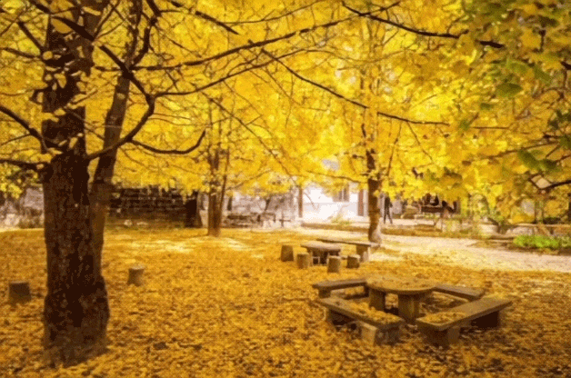 676ff283d50a5c5c10e8fb721170cb91-sz_3520992