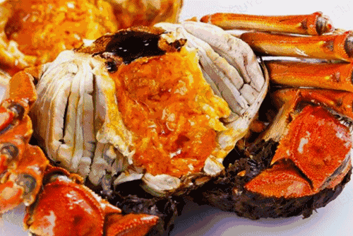 679258b7dc79fa06fb04362415527c5f-sz_240146