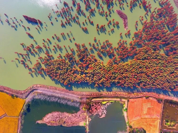 67f3623cec08f6682316ef83180f0000-sz_242837