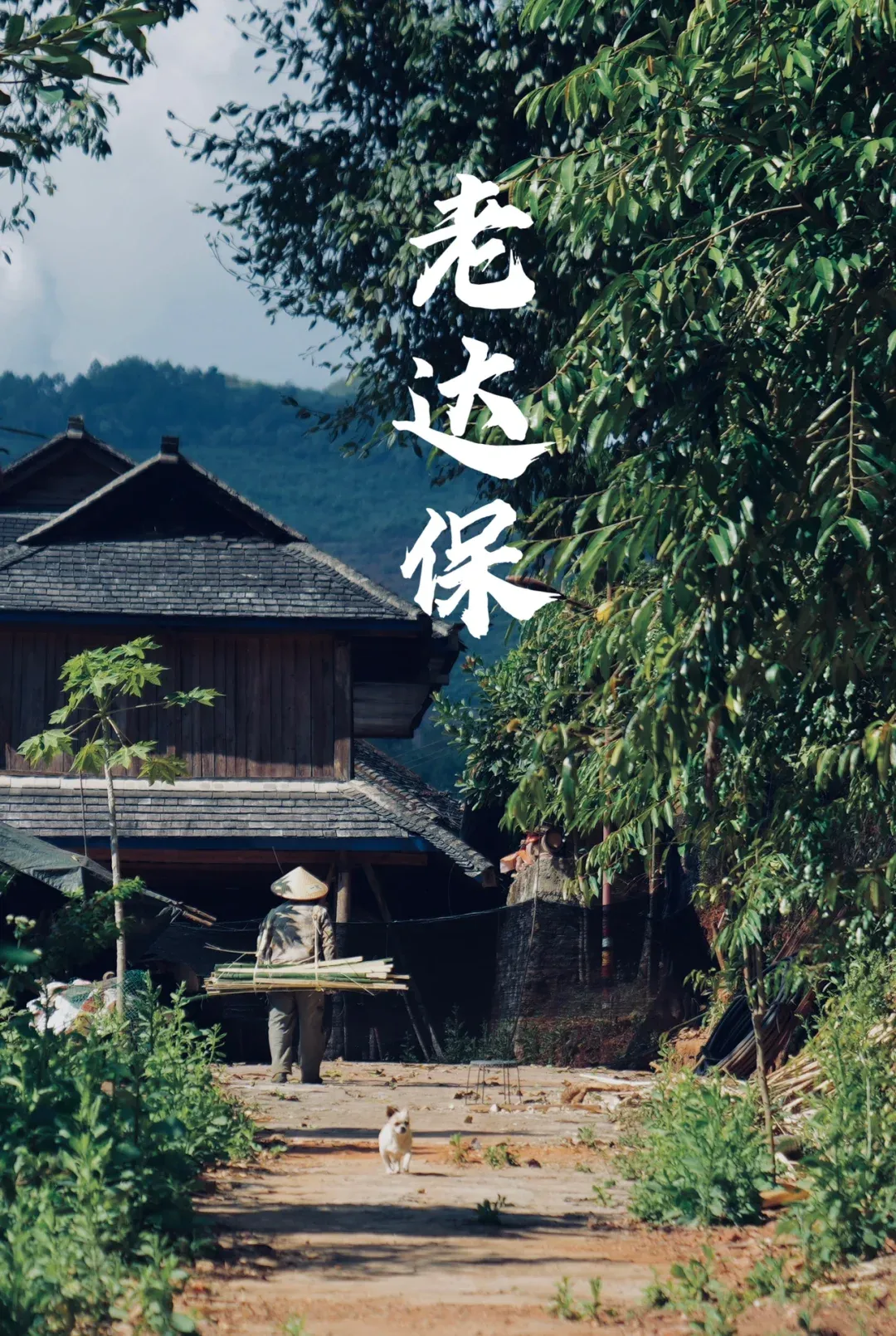 6810a37b2e049372cd16d7a7992e8284-sz_3726780