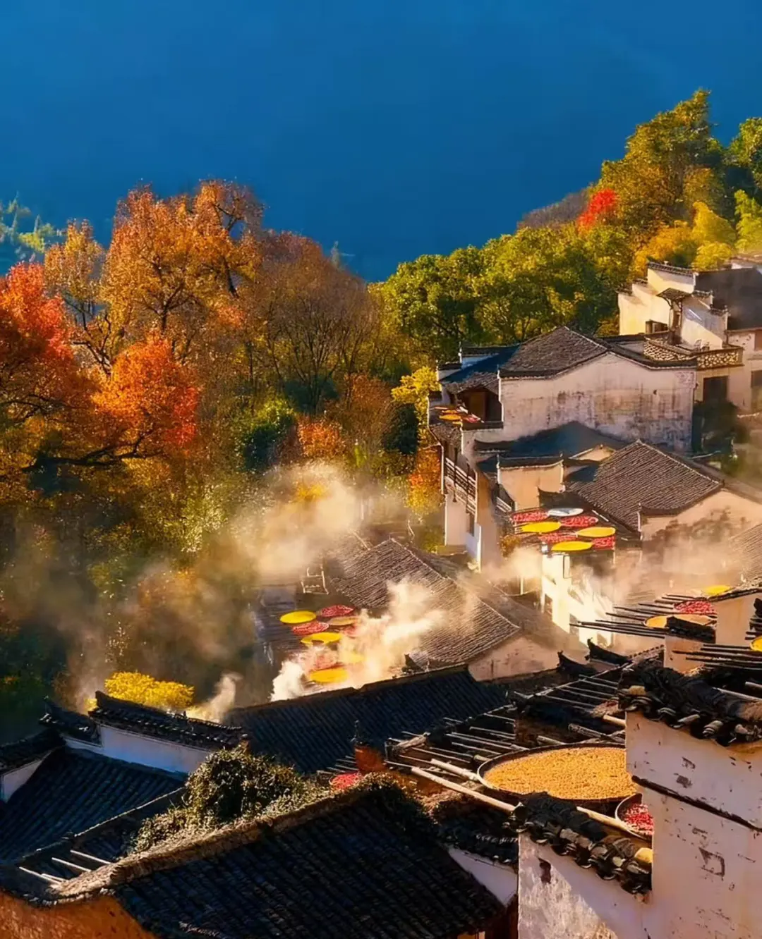 6840a96f68c5790c4051f561169698ea-sz_324542