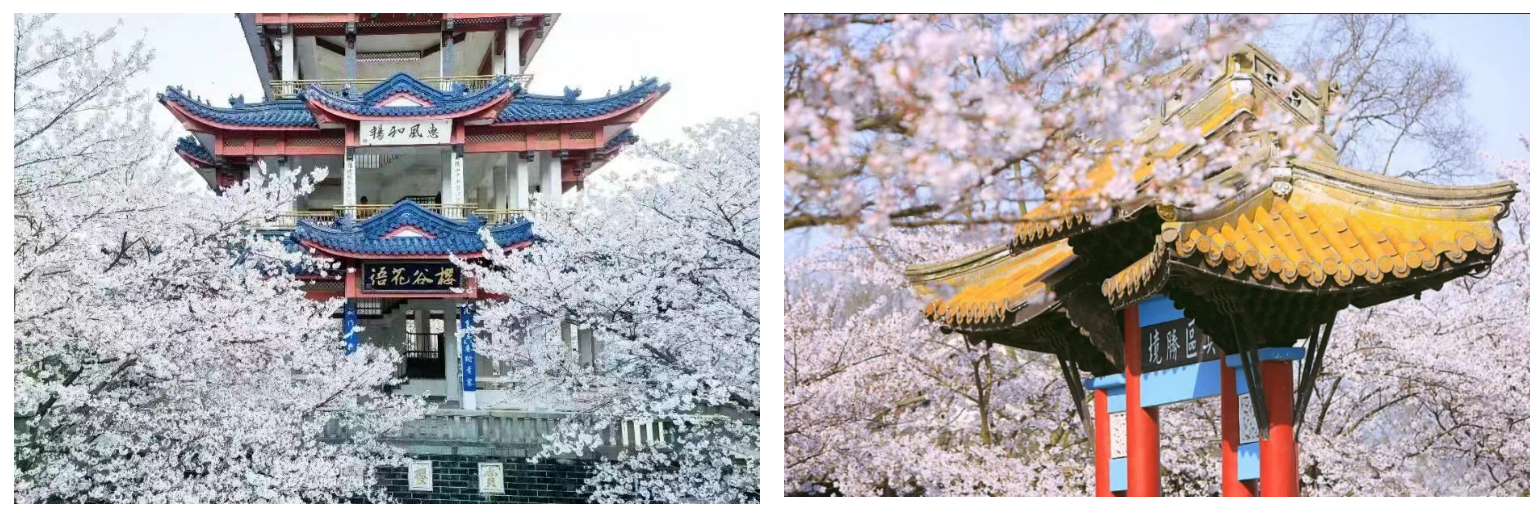 684d6803605aa51248418d76538be86b 684d6803605aa51248418d76538be86b