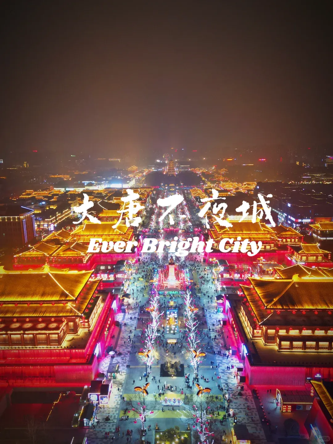 68918b16b13240ee75b7a34149b73c2d-sz_2577039