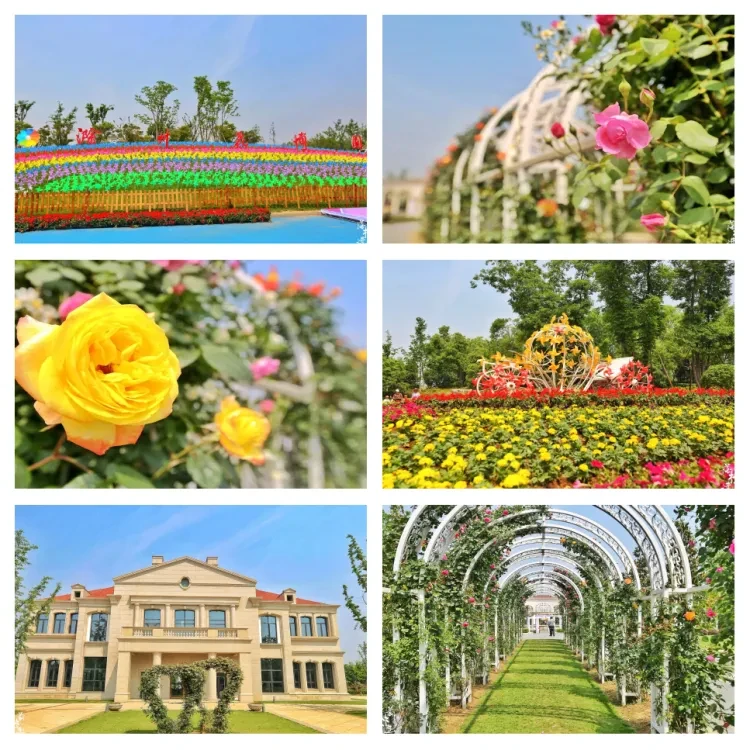 68933f06ef61bedeb19e351f85779854-sz_1820551