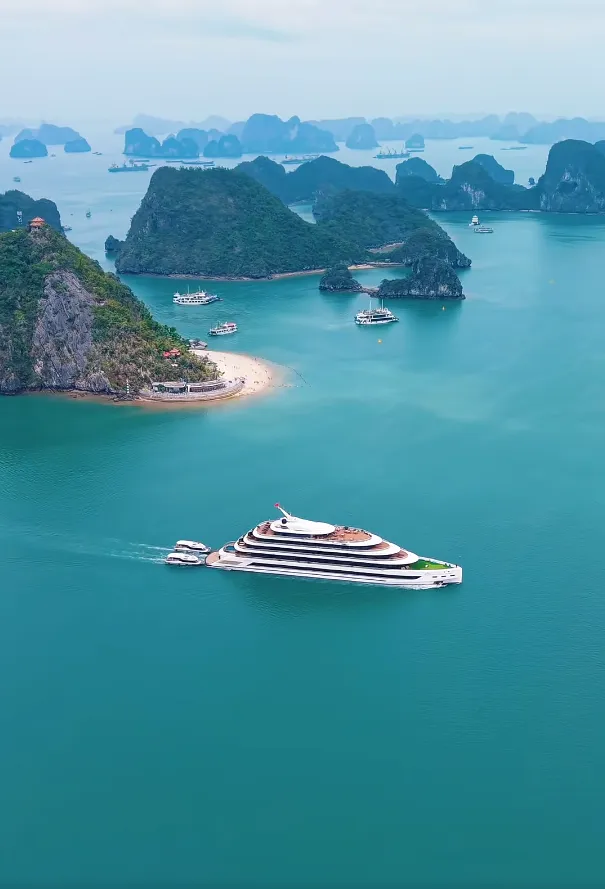 689d37941bf3308b5eb205d535f7fe5c-sz_724290