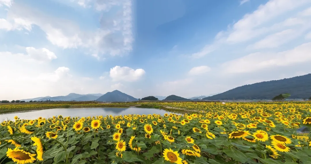 68d4b3cf7455c63911038e196d105af8-sz_1059062 68d4b3cf7455c63911038e196d105af8-sz_1059062