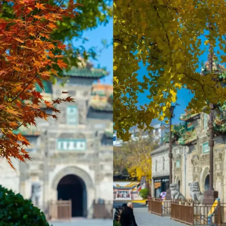 690a0940aa80eaaa96ba26f4b63d3f1a-sz_217151 690a0940aa80eaaa96ba26f4b63d3f1a-sz_217151