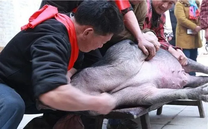 694d9e9ddf9a2c08948345fb22719290-sz_59978 694d9e9ddf9a2c08948345fb22719290-sz_59978