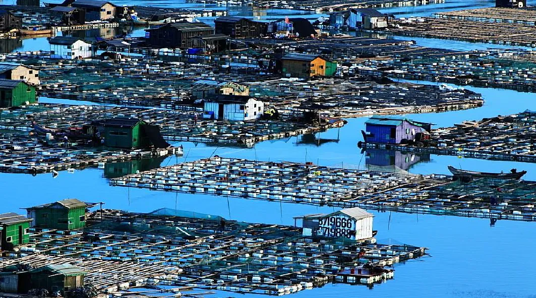 695784d34a8d870900173d336b560eec-sz_1386707