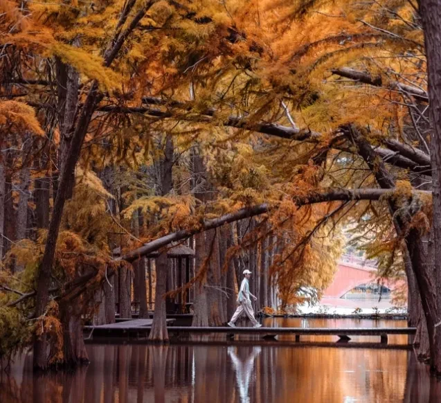 69cb466170e84b696325b8036e9c567b-sz_1145133-1