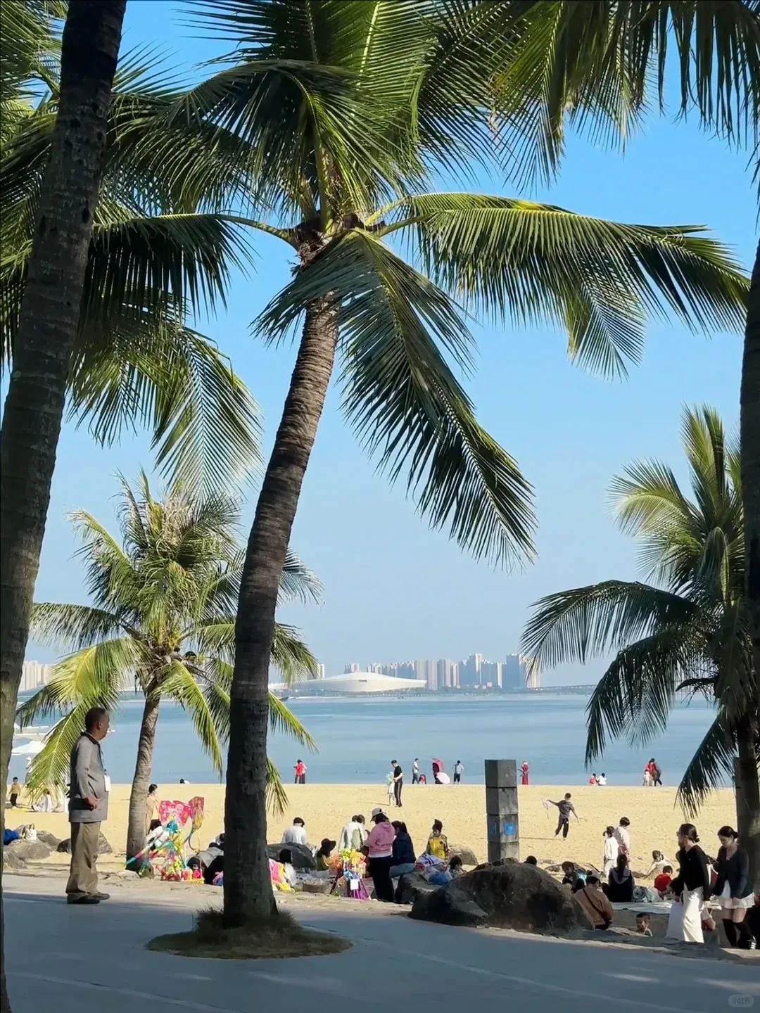 69cda03fbf5705115e0667b21ff10273-sz_537052