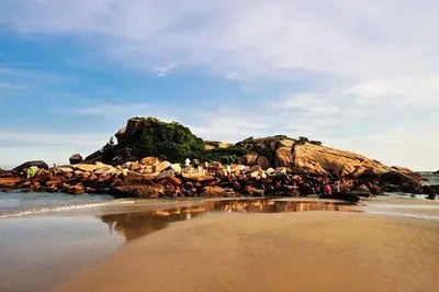 69dcb4a55f47f59c87a1f04d5d758848-sz_22728