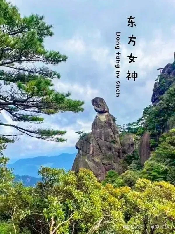 69e9fd09f3de264ba0ddaf52d9878c1c-sz_122382