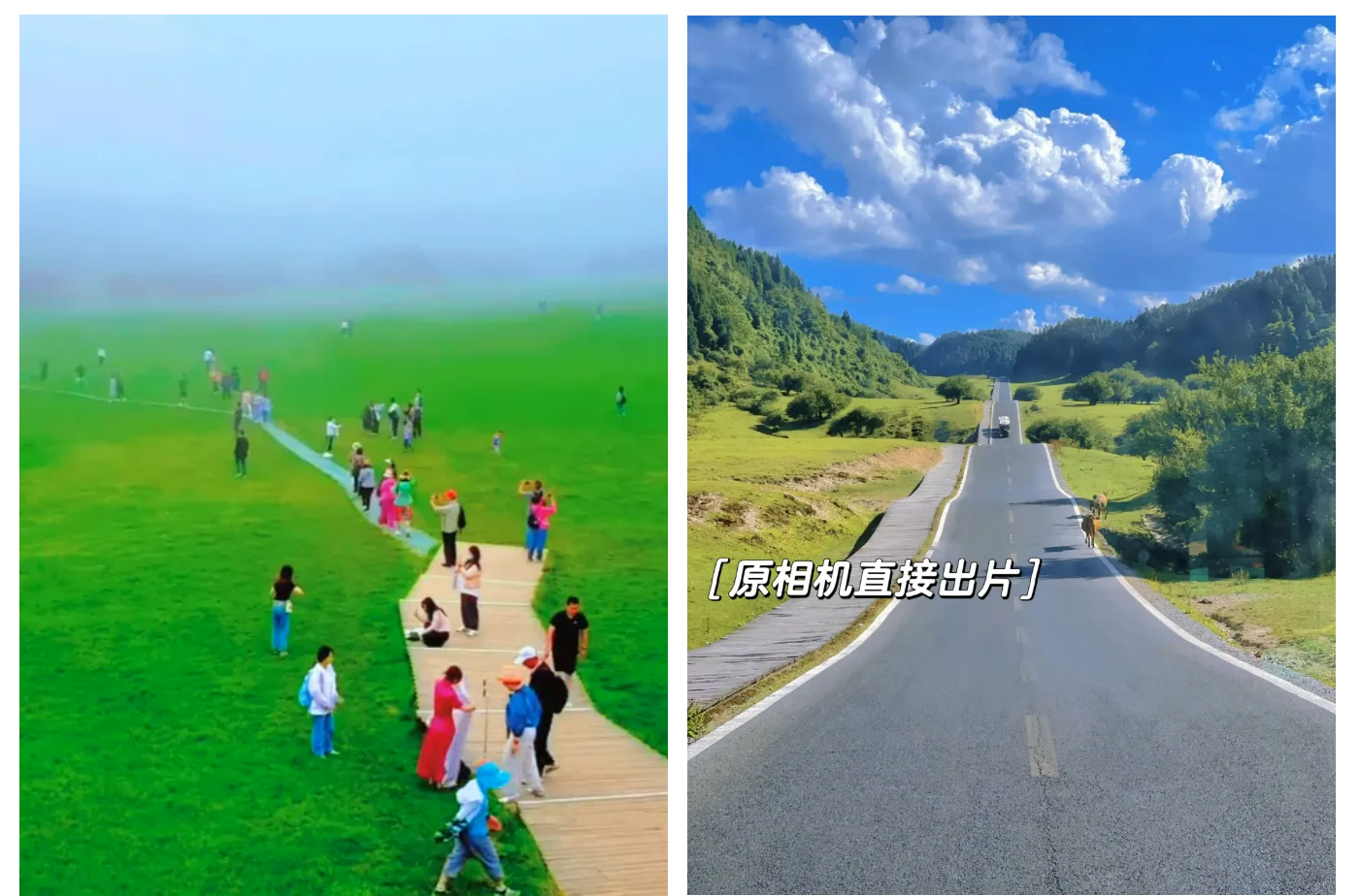 1999元/人❤【特价重庆双飞6日】❤武隆天坑、仙女山、龚滩古镇、乌江画廊、磁器口、渣滓洞、网红李子坝轻轨穿楼、洪崖洞