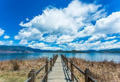 6a1c46ad2527c6d4f9327f74ae1a61f3-sz_296648