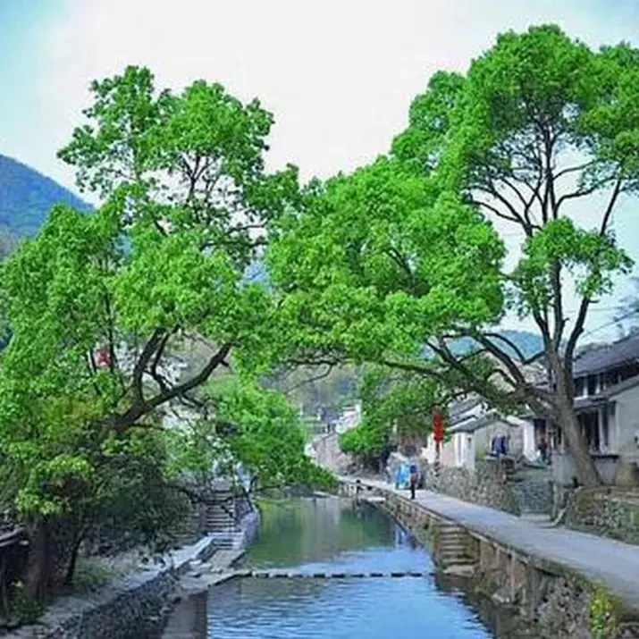 6a27499f5616bce6424b0038fcb2badf-sz_306514 6a27499f5616bce6424b0038fcb2badf-sz_306514