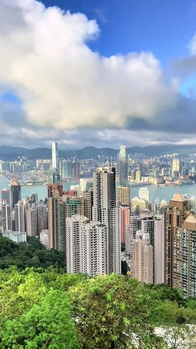 6a73d05b48534a9dbeb7e68951a4ce24-sz_81032