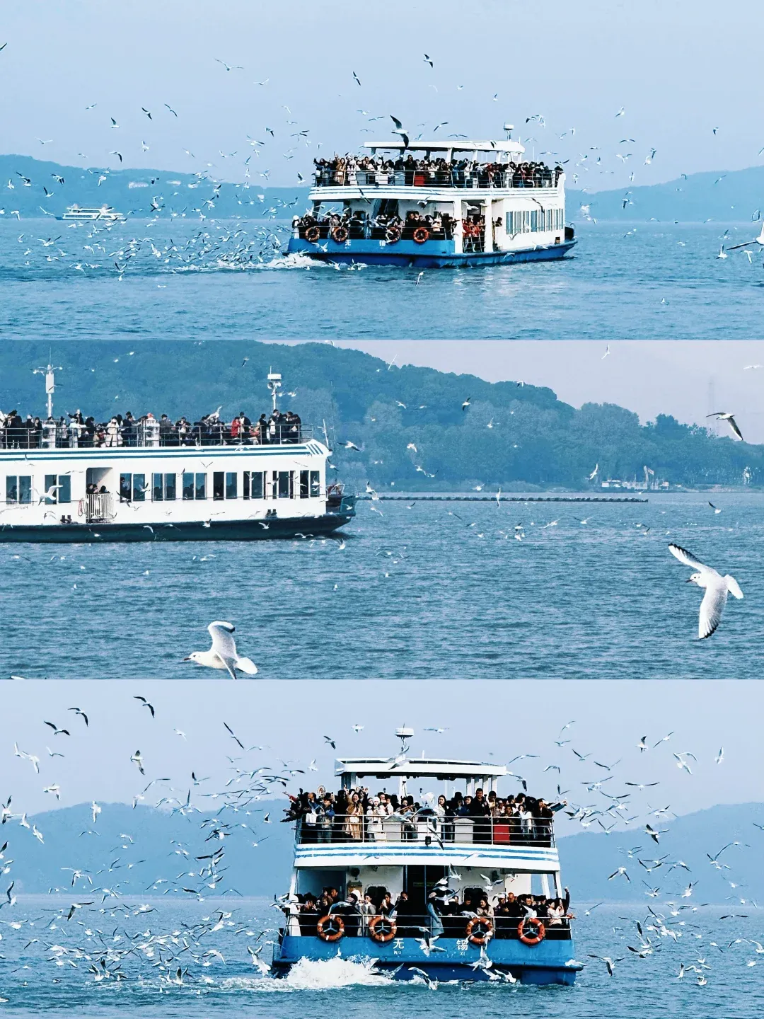 6aa06a29d360afe1a3a4cf6de34f3a6c-sz_2579083-1