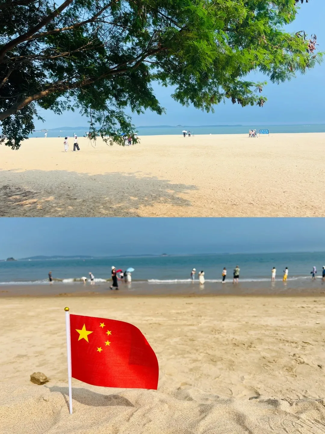 6aa42e65fa7be9d3a07fff062fa366ff-sz_485694-1