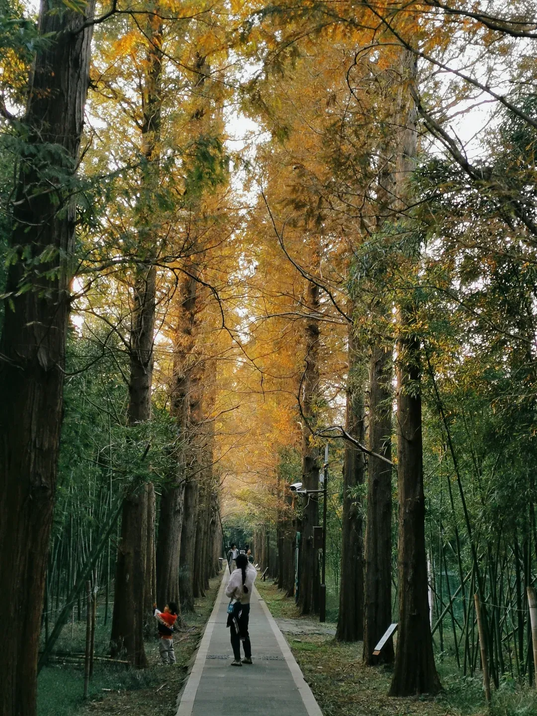 6ac193597af823ac7d1fe926a67378b5-sz_3245188-1 6ac193597af823ac7d1fe926a67378b5-sz_3245188-1