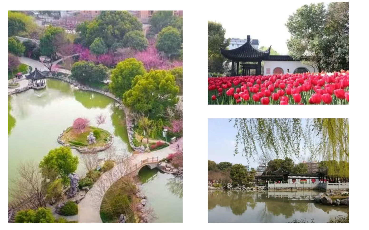 6b07a63fe8256d2bdc2e7edccd26d3b7 6b07a63fe8256d2bdc2e7edccd26d3b7