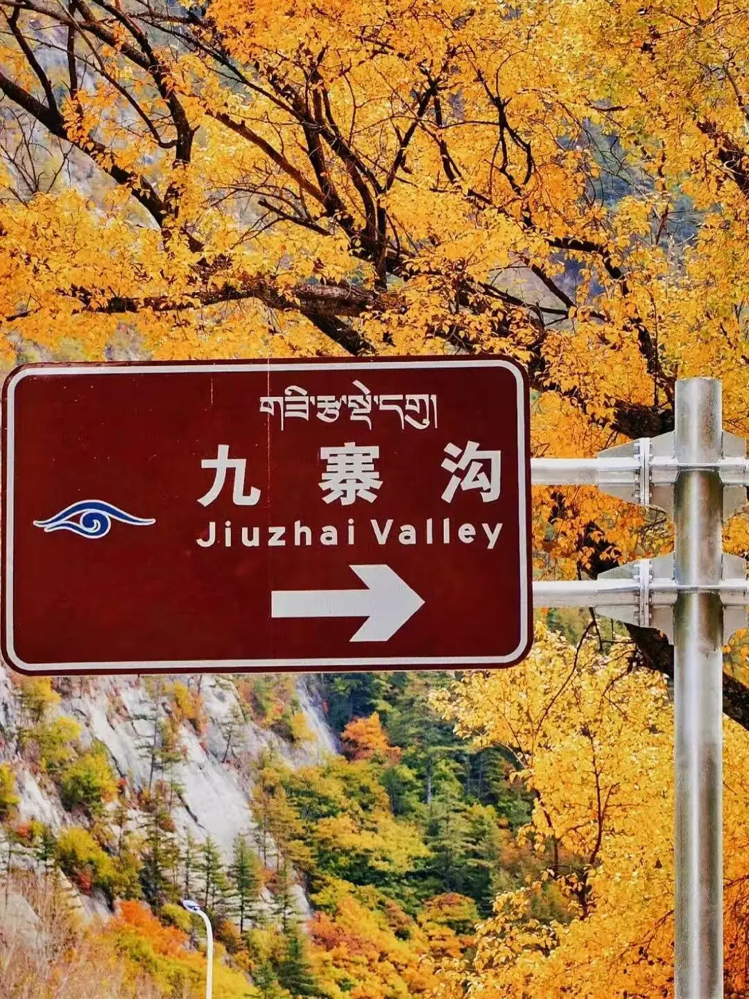 6b4f09e20f35a7ee02c488b6ae9084b6-sz_378522