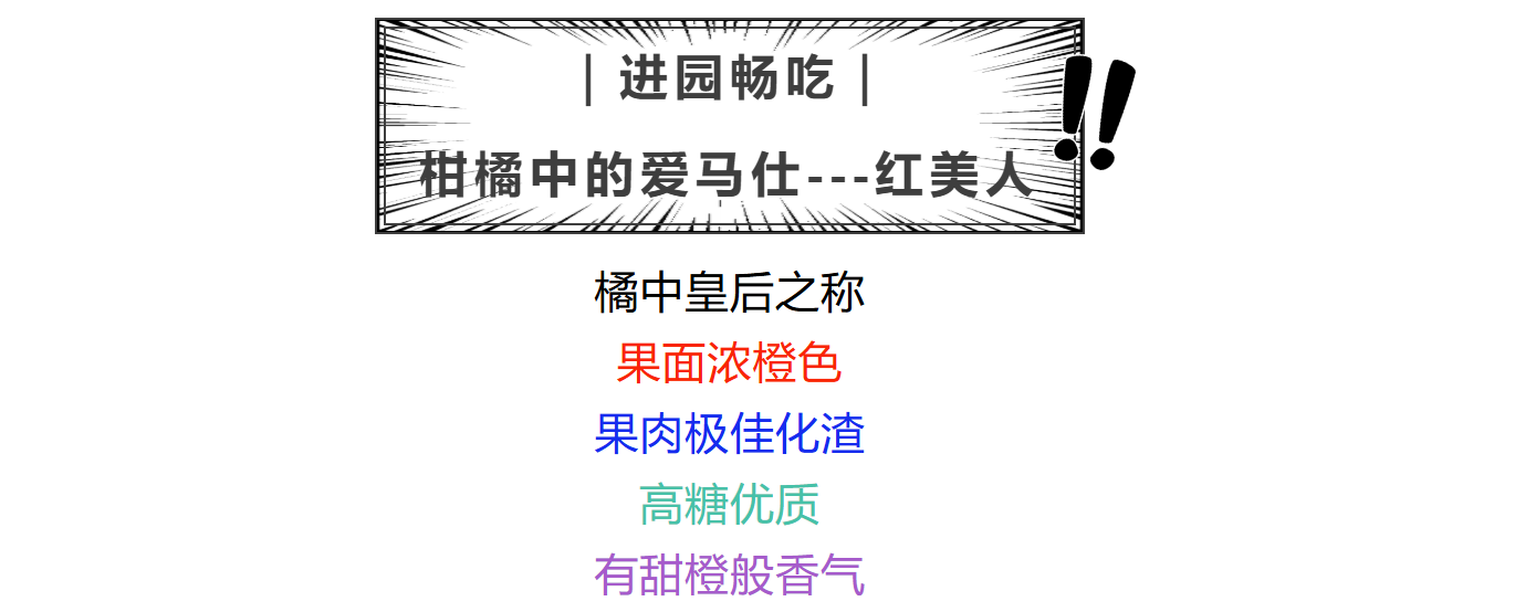 6b61c4655d7891f26137c9112fe78d66