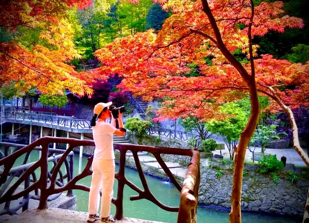 6b952a4946f49066233419b1e97f7dfd-sz_235148 6b952a4946f49066233419b1e97f7dfd-sz_235148