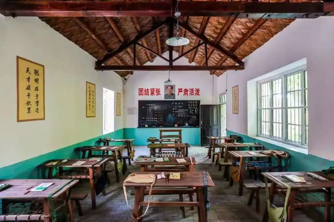 6bd6b22da067a32070ec84067550fe19-sz_88738-4