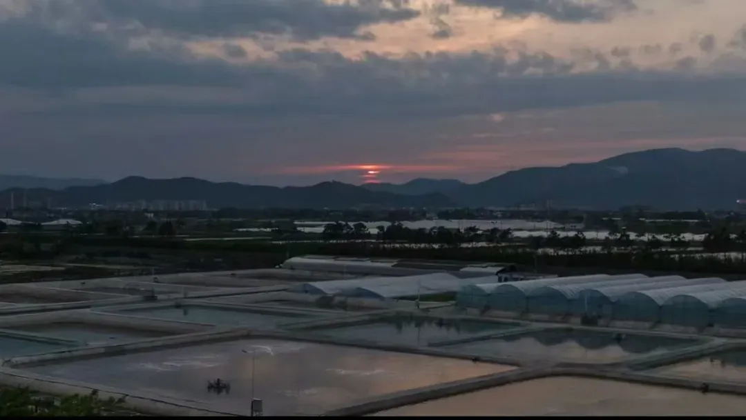 6be6c29001a51bd33439efe8f678be41-sz_408947