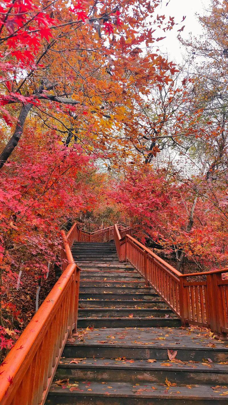 6bf2d7141204c9396b9d7b1f545906c5-sz_376511