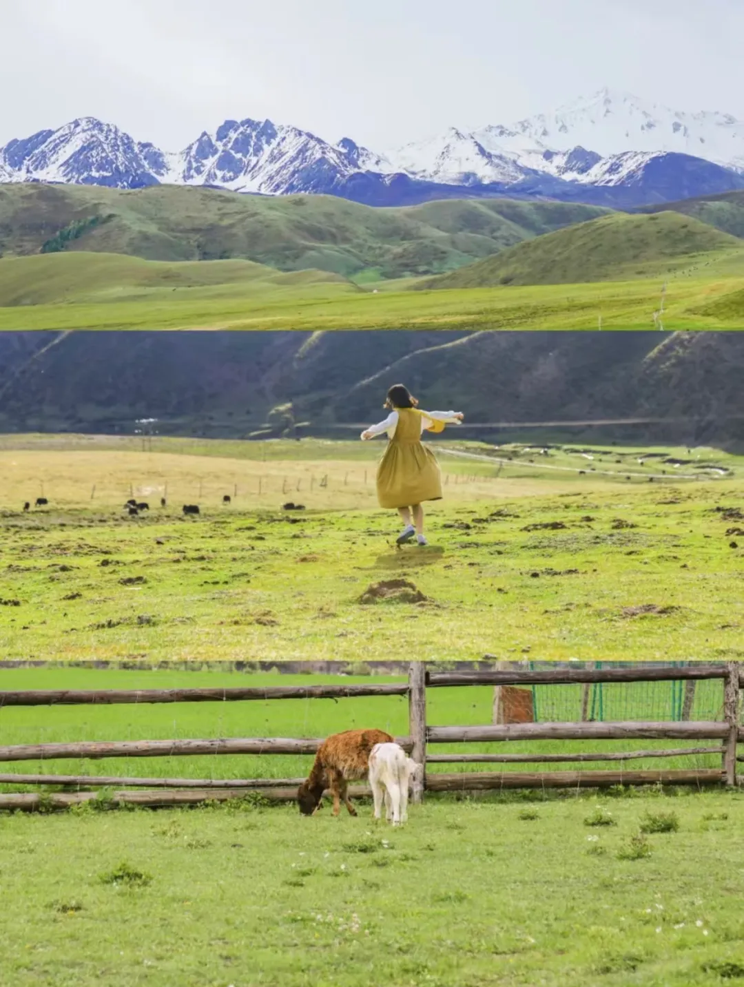 6bf954bdfc3dd6333ffd8832dcae2c9a-sz_3849661