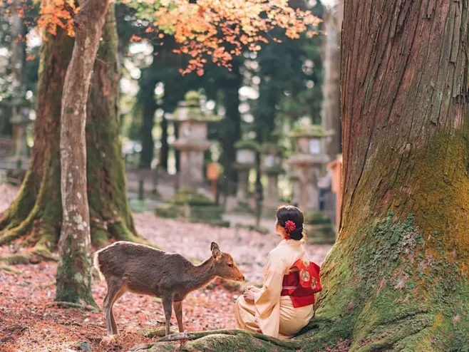 6c04d4926bcc56aabc77351c99500dab-sz_1679568 6c04d4926bcc56aabc77351c99500dab-sz_1679568