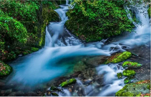 6c54621e61e13d69996e9fc702507596-sz_190571 6c54621e61e13d69996e9fc702507596-sz_190571