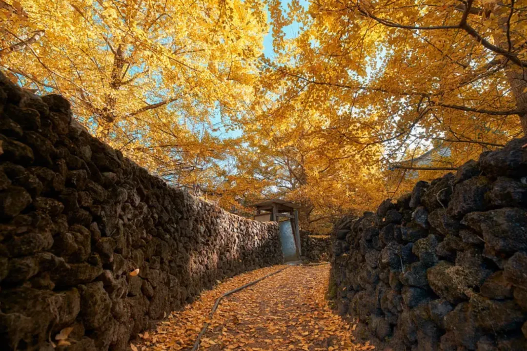 6c86cacc0a581ac1cedd48b4d00ea41b-sz_2628634 6c86cacc0a581ac1cedd48b4d00ea41b-sz_2628634