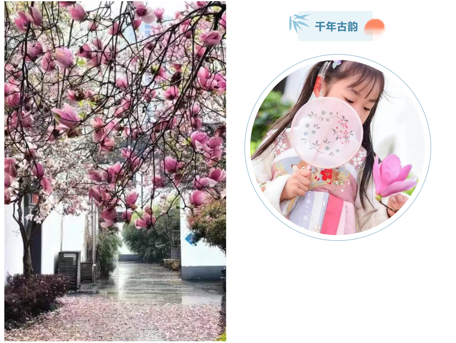 6ca1439bb6d6f843115e5530145346b6