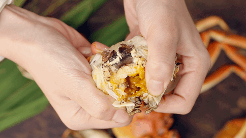 6cad26d33de93fb1893ea533fd2000fa-sz_2028367-1