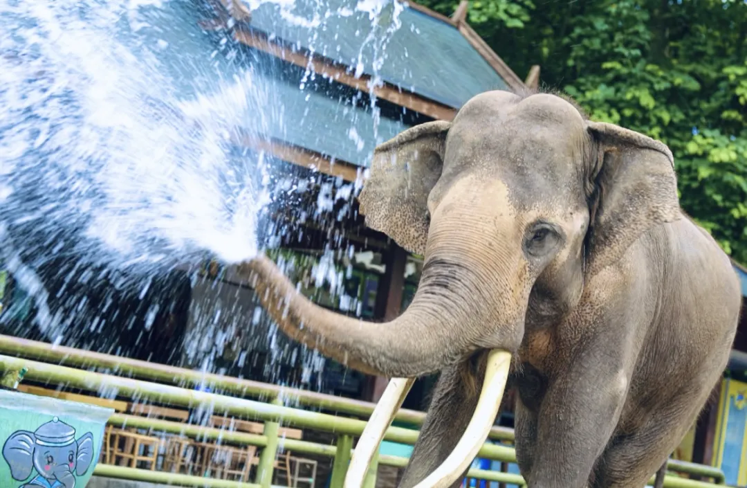 6cccea13c097b219ad21261296cbeb77-sz_363769