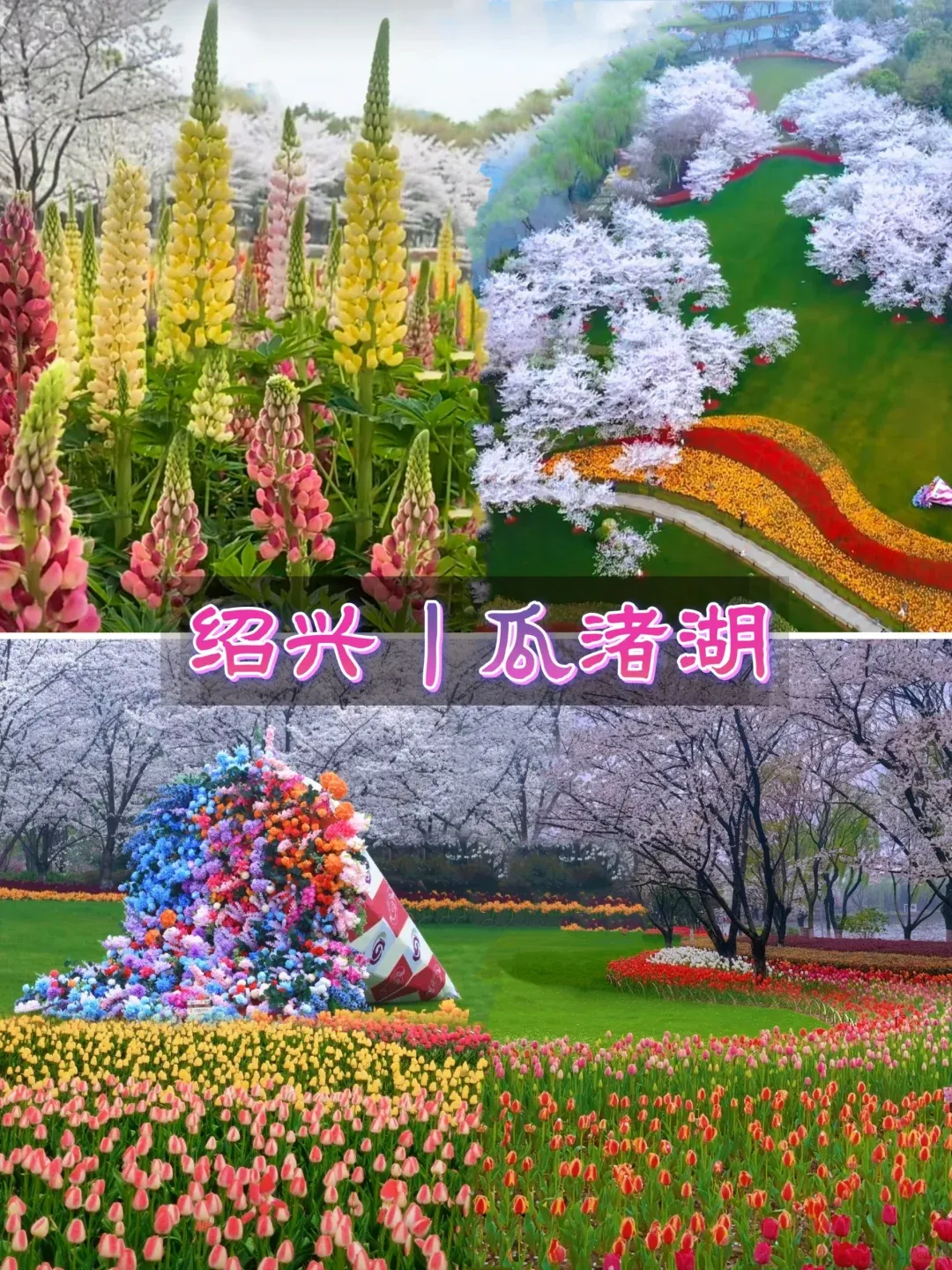 6cdcd706df9e577a8e3922233538a4a9-sz_4026907 6cdcd706df9e577a8e3922233538a4a9-sz_4026907