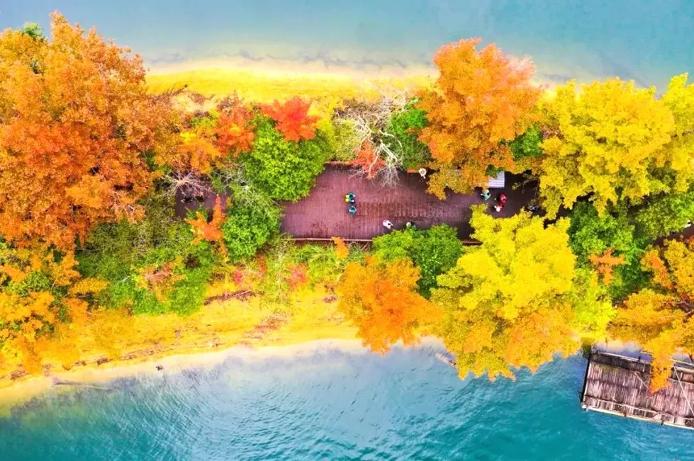 6ce0666191f246d1f1c22fe57af7786c-sz_533705