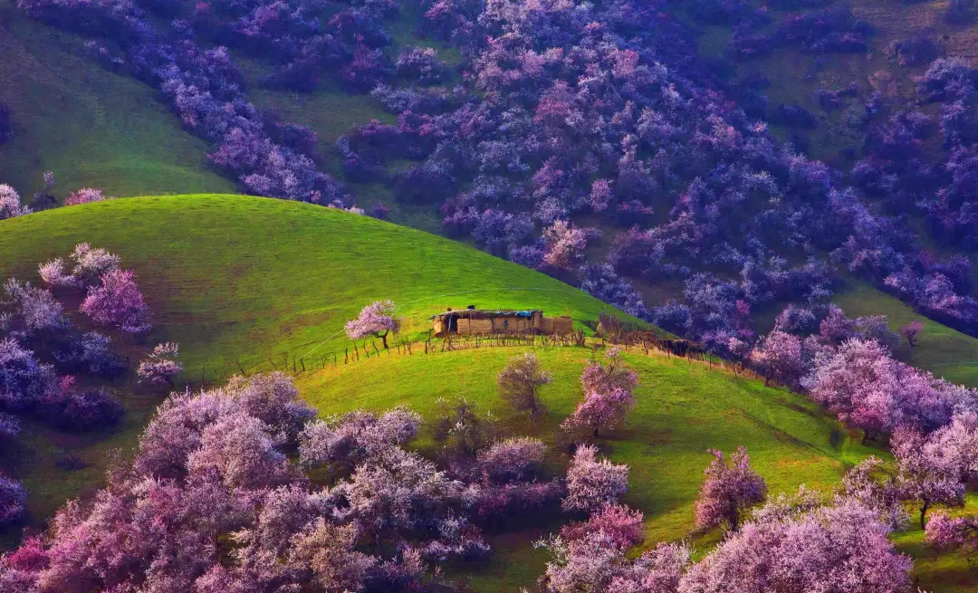 6d0783c0b486d72b04f43d1f2ef9007c-sz_1104135