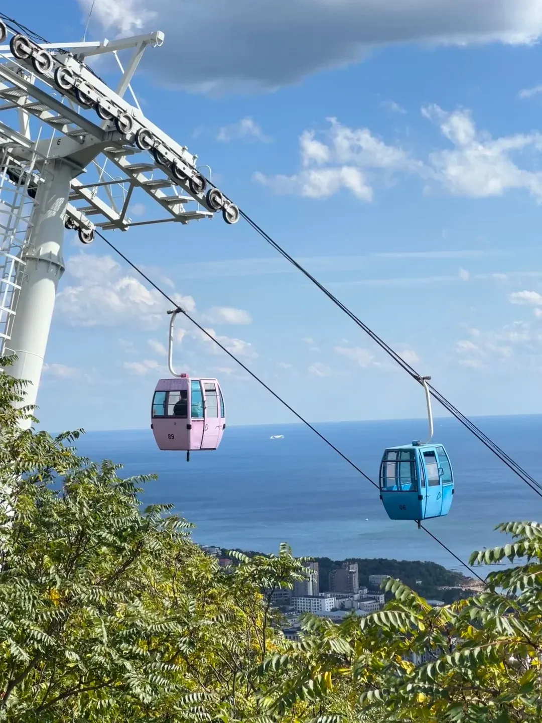 6d159391c35308ae14a89df85816d3d5-sz_398169