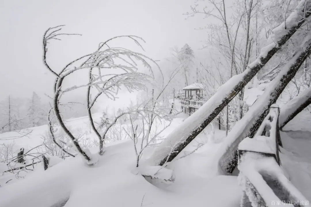 6d1f1dddc2d7fa6c34534d3738d10558-sz_769939 6d1f1dddc2d7fa6c34534d3738d10558-sz_769939