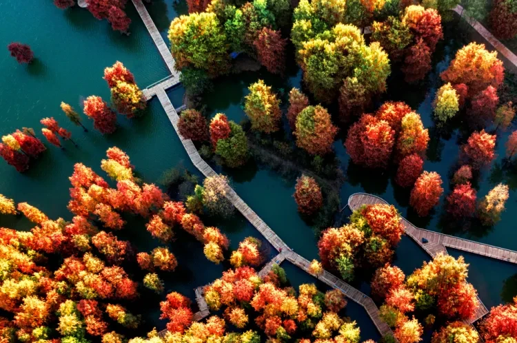 6d2d5b7c5efc92bb40aa32375d40d4e7-sz_1572783