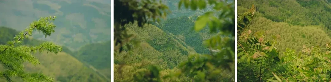 6d5442a7baa2f73542b8407b4007384d-sz_2979604 6d5442a7baa2f73542b8407b4007384d-sz_2979604