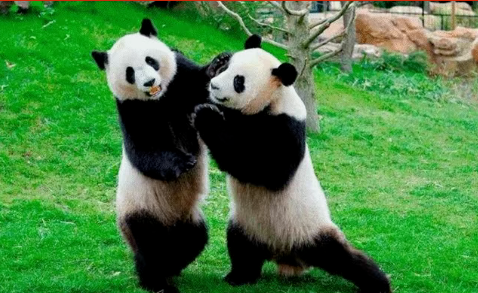 6d72ff5187cb567293b9bec70d95bd7d