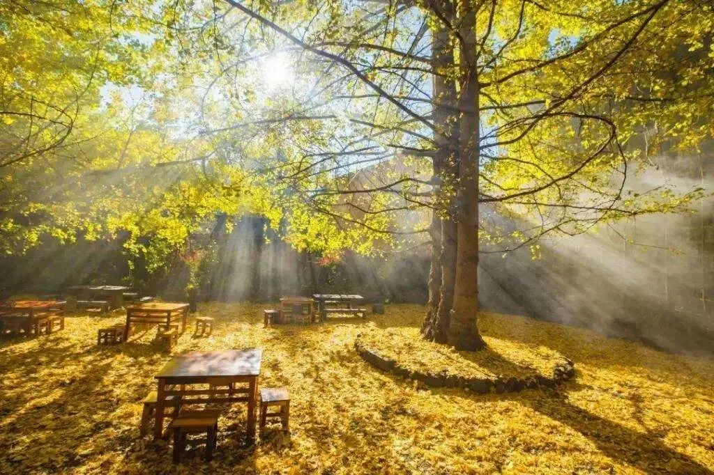 6d9d333f969c58c7051327e2036e2cc9-sz_197451